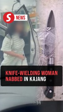 Knife-wielding woman who attacked bystanders in Kajang arrested
