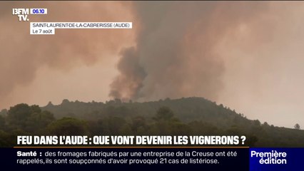 Feu maîtrisé dans l'Aude: la ministre de l'Agriculture se rend sur place aujourd'hui pour rencontrer les viticulteurs