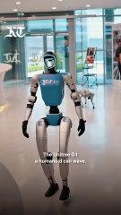 UAE: Meet viral robot that greeted Sheikh Mohammed, crossed road; cost, features revealed