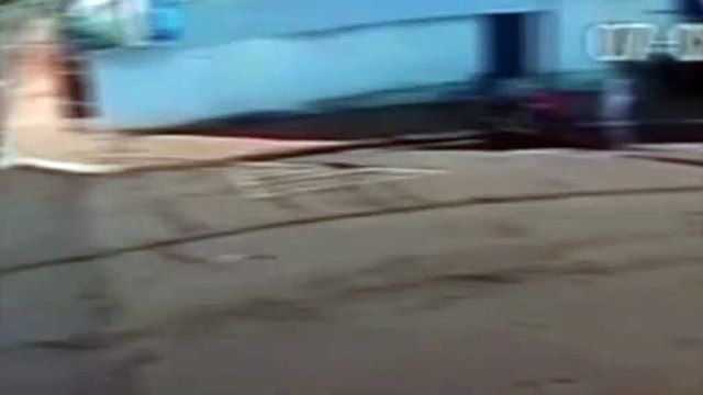 Idoso fica gravemente ferido após ser 'atropelado' por cachorro