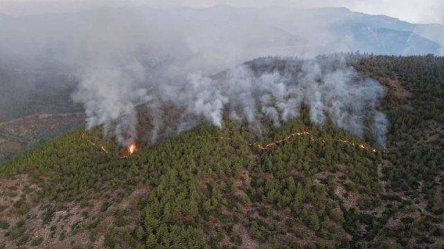 Hatay'da orman yangını ikinci gününde; havadan müdahale başladı