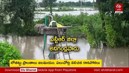 LIVE UPDATES: పులిచింతల ప్రాజెక్టుకు కొనసాగుతున్న వరద