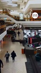 Why 'Accidental' Meetings Are Never Really Unplanned ✨