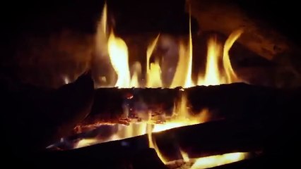 3 Camping Stories That’ll Haunt You Forever