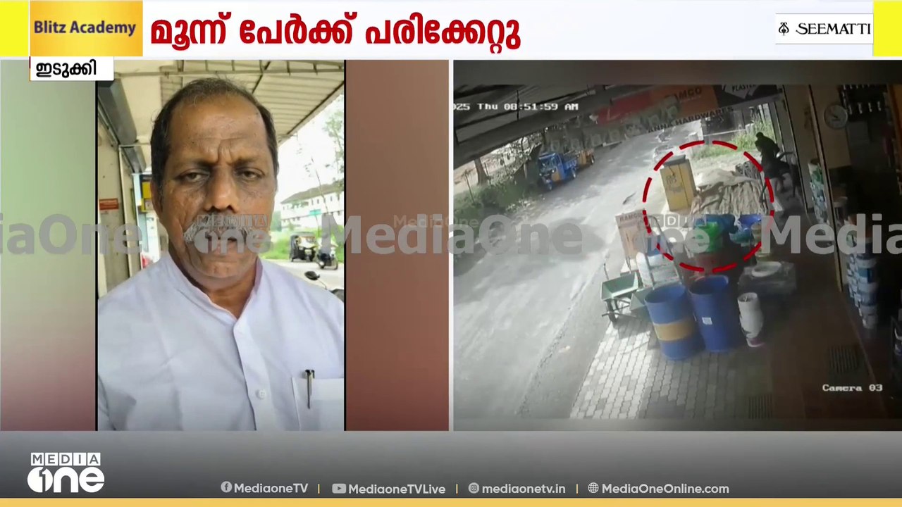 ഇടുക്കി തൊടുപുഴയിൽ കടയ്ക്കുള്ളിൽ കയറി തെരുവുനായ...