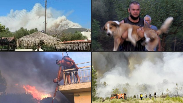 Hitzewelle: Südeuropas Kampf gegen die Flammen