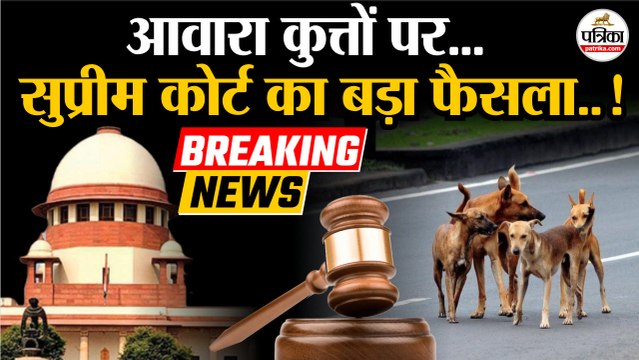 Supreme Court On Stray Dogs : आवारा कुत्तों पर सुप्रीम कोर्ट का फैसला! | Stray Dogs | Delhi NCR Dogs