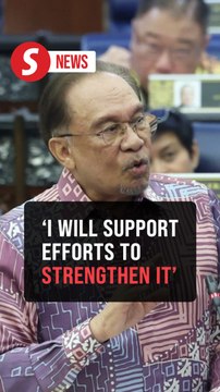 Govt prepared to strengthen anti-party hopping law, says Anwar