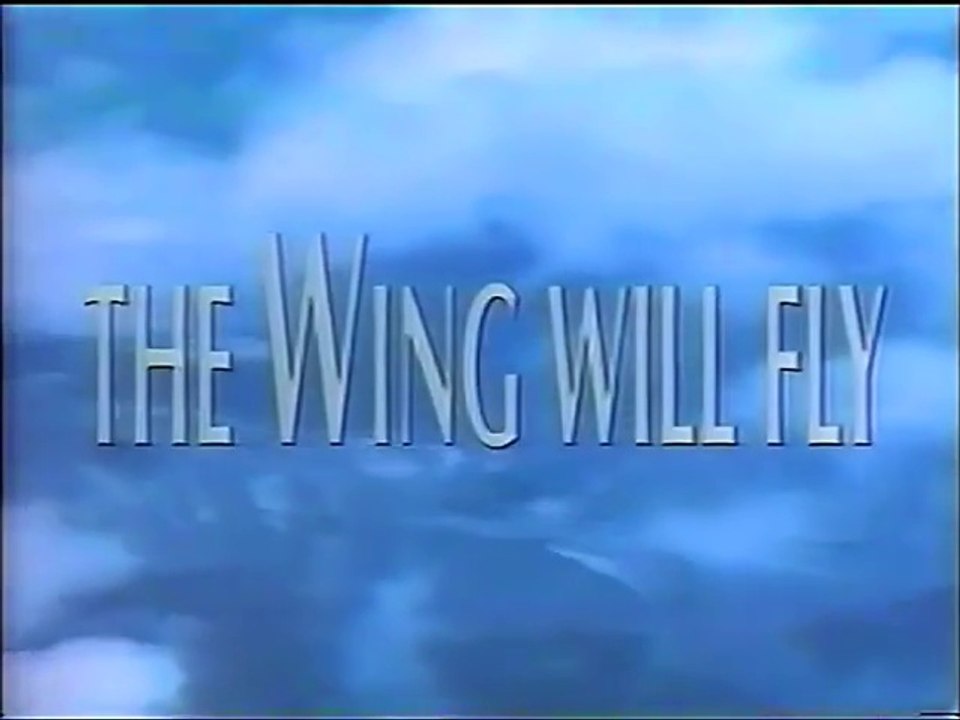 DC Wings "Specials" : The Wing Will Fly