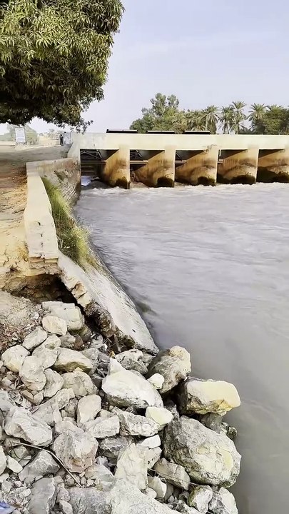 Dadu Canal Regulator  #maxrecords #villagelife #larkana #sindh #pakistan