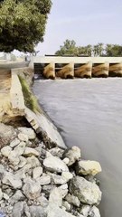 Dadu Canal Regulator  #maxrecords #villagelife #larkana #sindh #pakistan