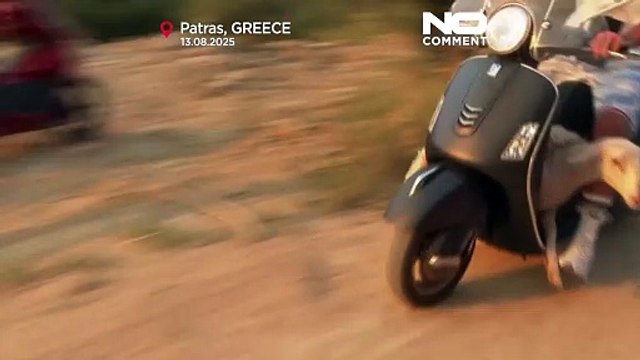 Animais são resgatados enquanto incêndios florestais assolam a Grécia