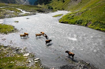 Türkiye'nin doğusunda tanıdık bir coğrafya! Yüzlerce yıllık yapılarıyla  Dartlo Köyü