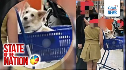 Paglalagay ng alagang aso sa grocery cart, umani ng batikos | SONA