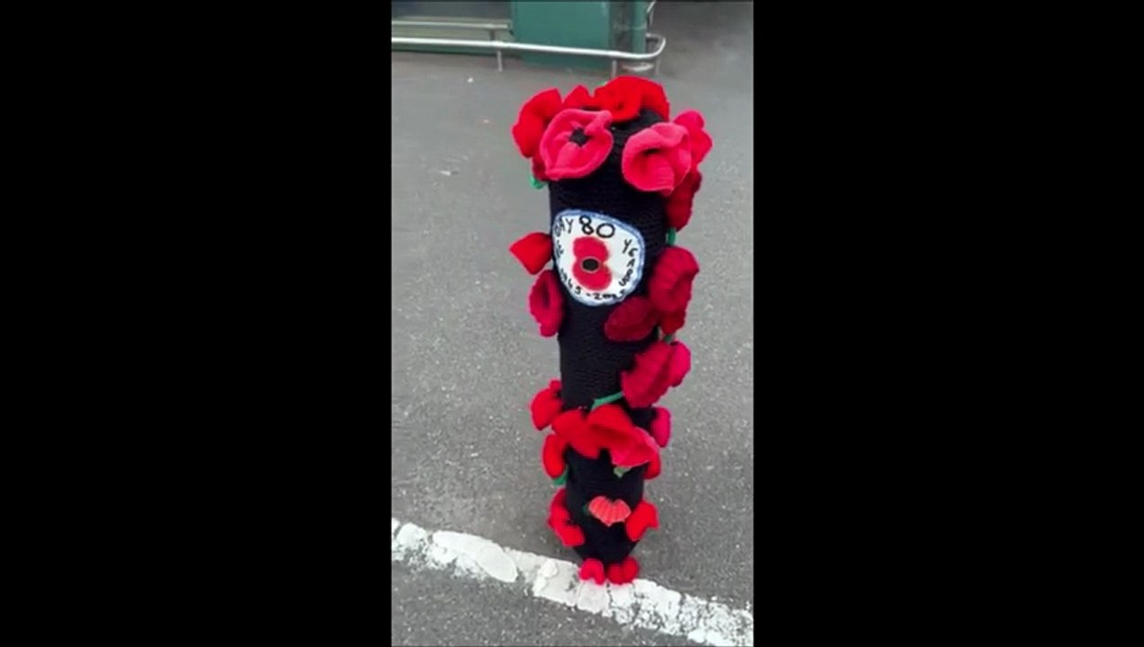 See the soldiers guarding Morrisons in Littlehampton as a VJ Day tribute