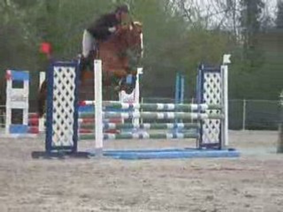 P4230884_videoquelle