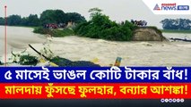 ফুলহারের স্রোতে ভাঙল বাঁধ! ভূতনিতে বন্যার আশঙ্কা, আতঙ্কে গোটা গ্রাম | Malda News | Flood | TMC | BJP