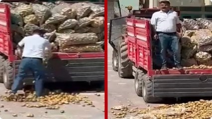 CHP'li başkan bir kamyon patatesi sokağa döküp Erdoğan'a haykırdı