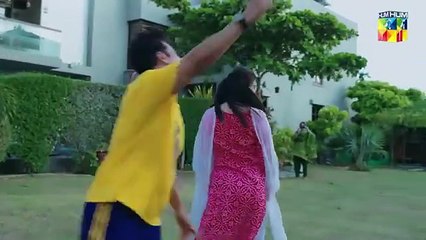 Raaja Rani - Episode 29 [ Hina Afridi & Faysal Qureshi ] - HUM TV