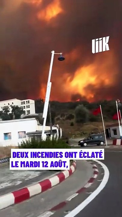 Nord du Maroc : plusieurs forêts sous les flammes