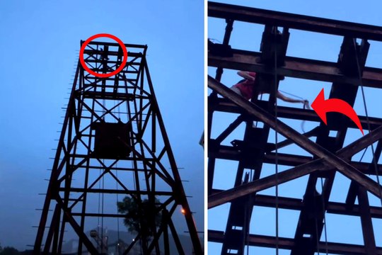 250 फीट ऊंचे टावर से सांप का रेस्क्यू