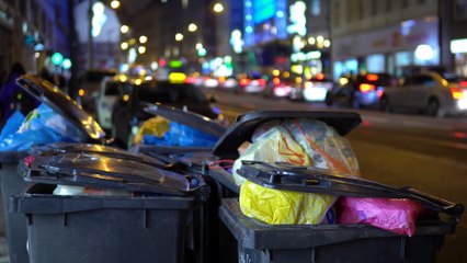 Come ricevere il BONUS RIFIUTI 2026: ISEE, Scadenze e NOVITÀ