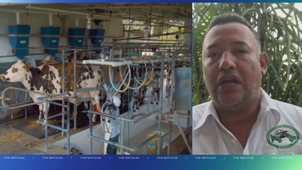 Productores de leche reaccionan a la advertencia que hizo Mulino a una compañía