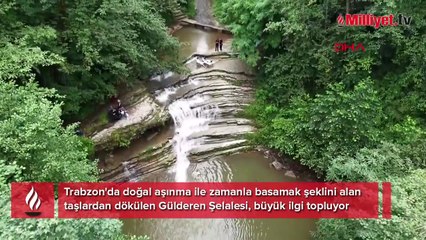 Ormanın içinde gizli: Bu kadar eşsiz bir yer çok nadir bulunur