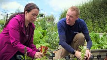 The Beechgrove Garden 2025 episode 20