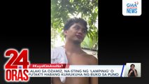 Lalaki sa Ozamiz, na-sting ng 'lampinig' o putakti habang kumukuha ng buko sa puno | 24 Oras