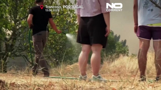 I vigili del fuoco lottano per contenere gli incendi nel nord e nel centro del Portogallo