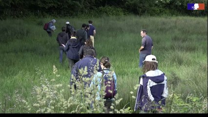 Concours "Prairies fleuries" 2025 - DREAL Nouvelle-Aquitaine
