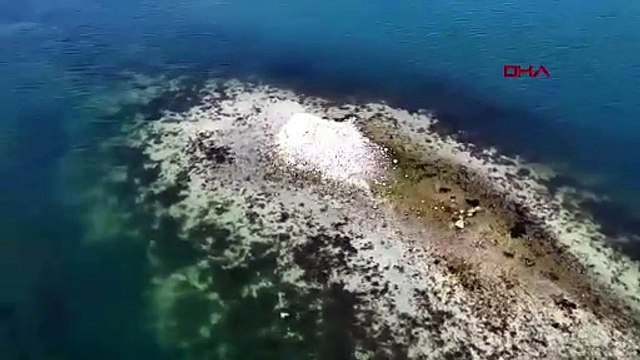 Sapanca Gölü'nün su seviyesi azaldı; tarih ortaya çıktı