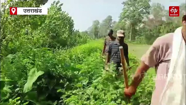 बर्ड फ्लू! तराई के जंगलों में मृत पाए गए पक्षी, लैब भेजे गए सैंपल, देहरादून में अन्य राज्यों से सप्लाई पर रोक