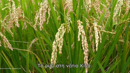 Από το Big Bang στο Σήμερα - Η Άνοδος του Πολιτισμού (The Rise of Civilization)