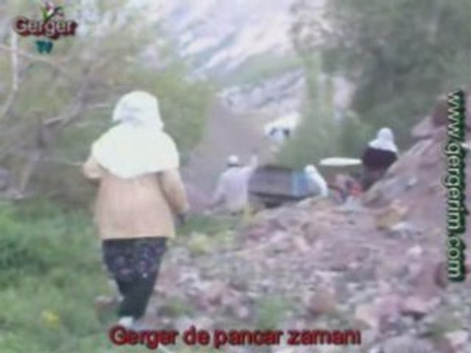 Gerger de pancar zamanı yayın