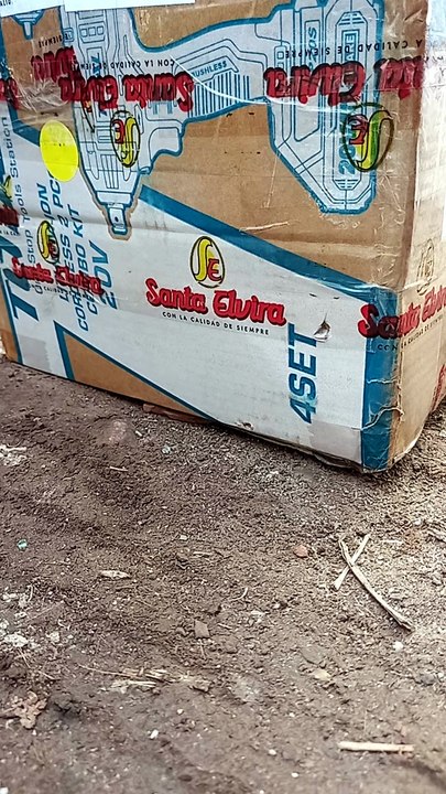 envio tom tama