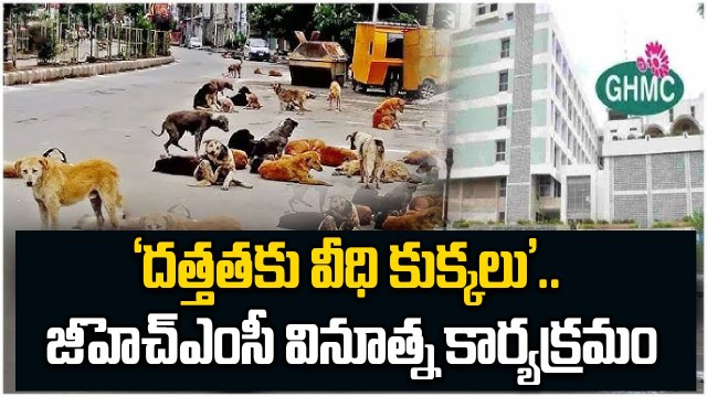Hyderabad Street Dogs : దత్తతకు వీధి కుక్కలు. Adoption Drive by GHMC | Oneindia Telugu