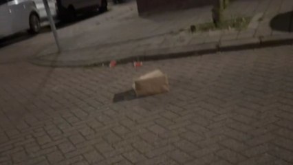 Strange creature jumps out of a McBag and scares the boy