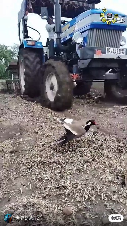 1000042076