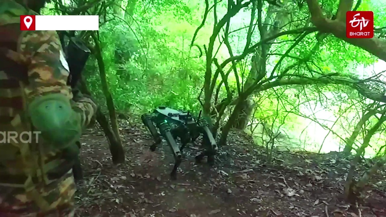 Inside Indian Army's High-Tech Jungle War Games Along LoC In Jammu Kashmir