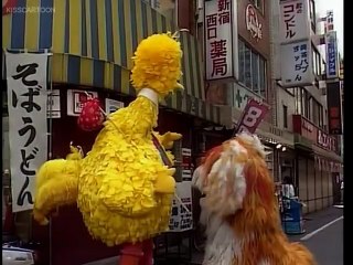big bird in japan
