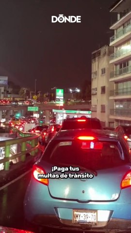 Paga tus multas de transito acariciando perritos en CDMX