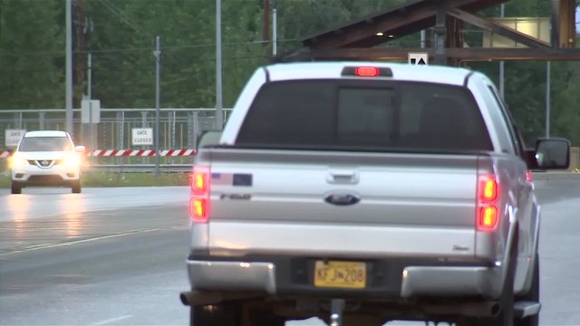 Unexpected Moose Disrupts Trump-Putin Summit Preparations in Alaska