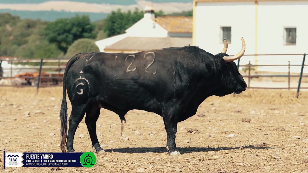 Bilbao - La Previa (Fuente Ymbro)