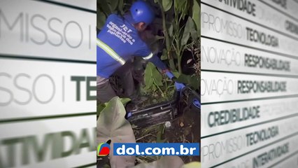 Patinete e abandonado no mato
