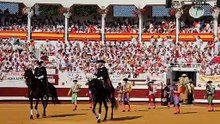paseillo dax