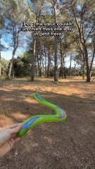 Ma sœur voulait un chien mais elle a eu un petit frère …