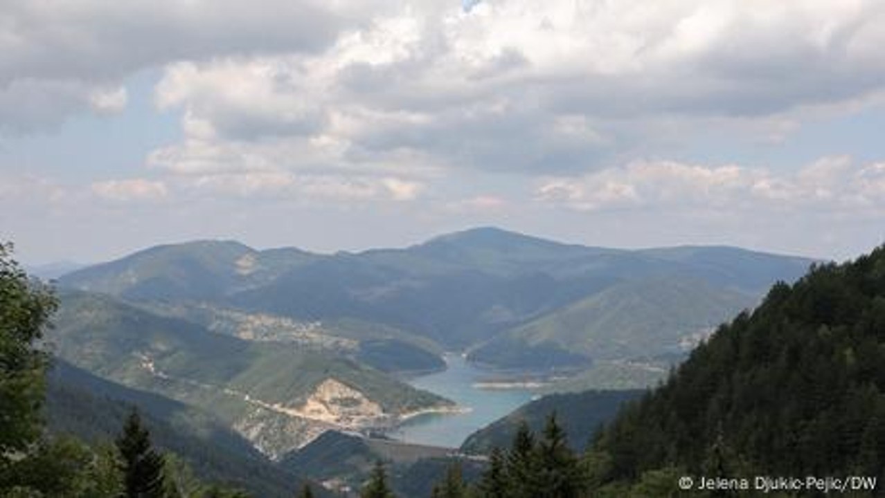 Serbia: Pancic spruce at risk of extinction due to global warming