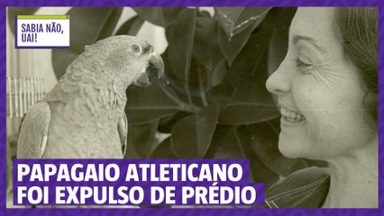 Tzitzutzi, o Papagaio Atleticano, Expulso de Condomínio por Decisão Judicial 🦜